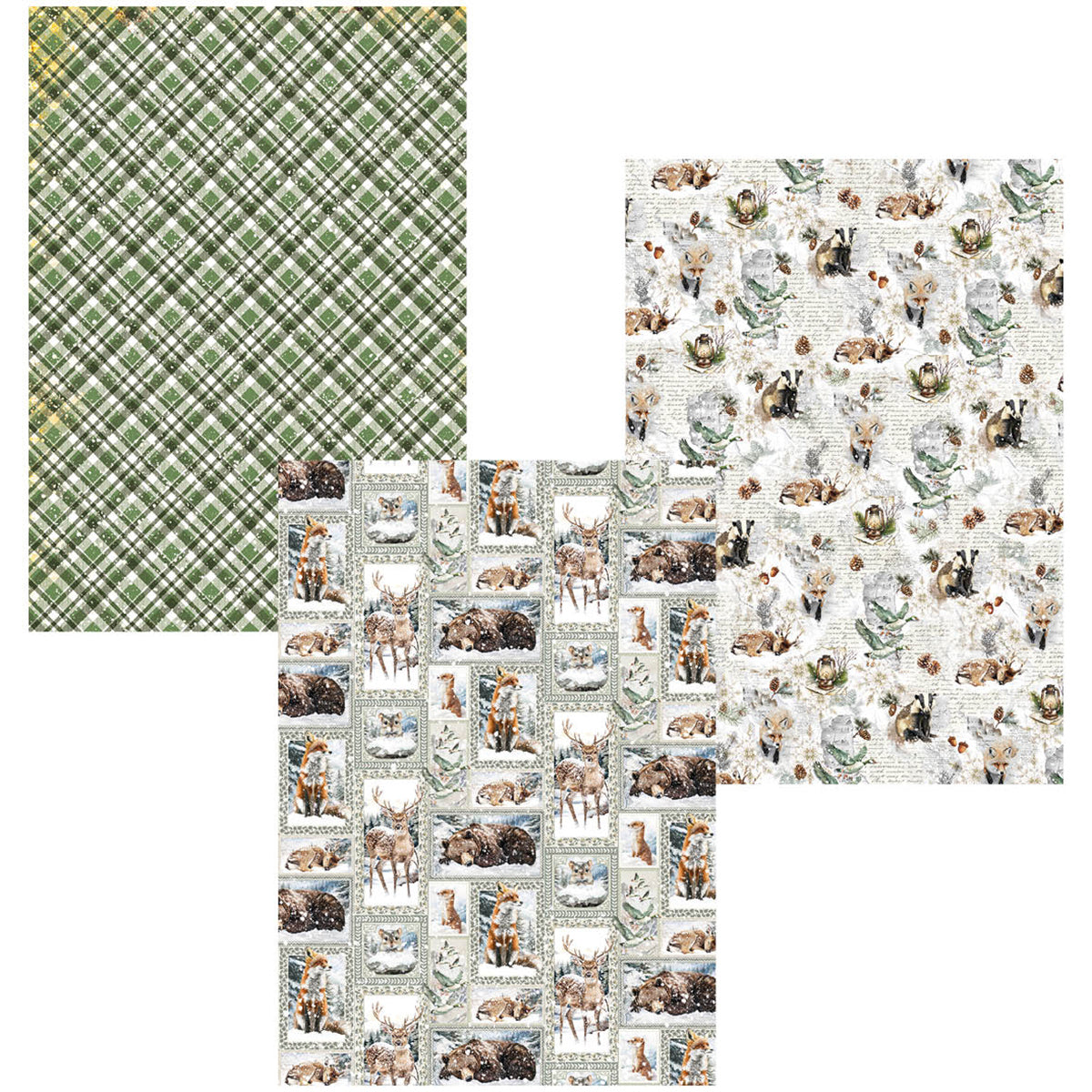 Deluxe Paper Silver & Vellum Dual Pack A4 MIXED 6/Pkg Forest Tales-3