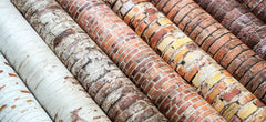 Brick Textures 6x6 Premium Paper Pad-3