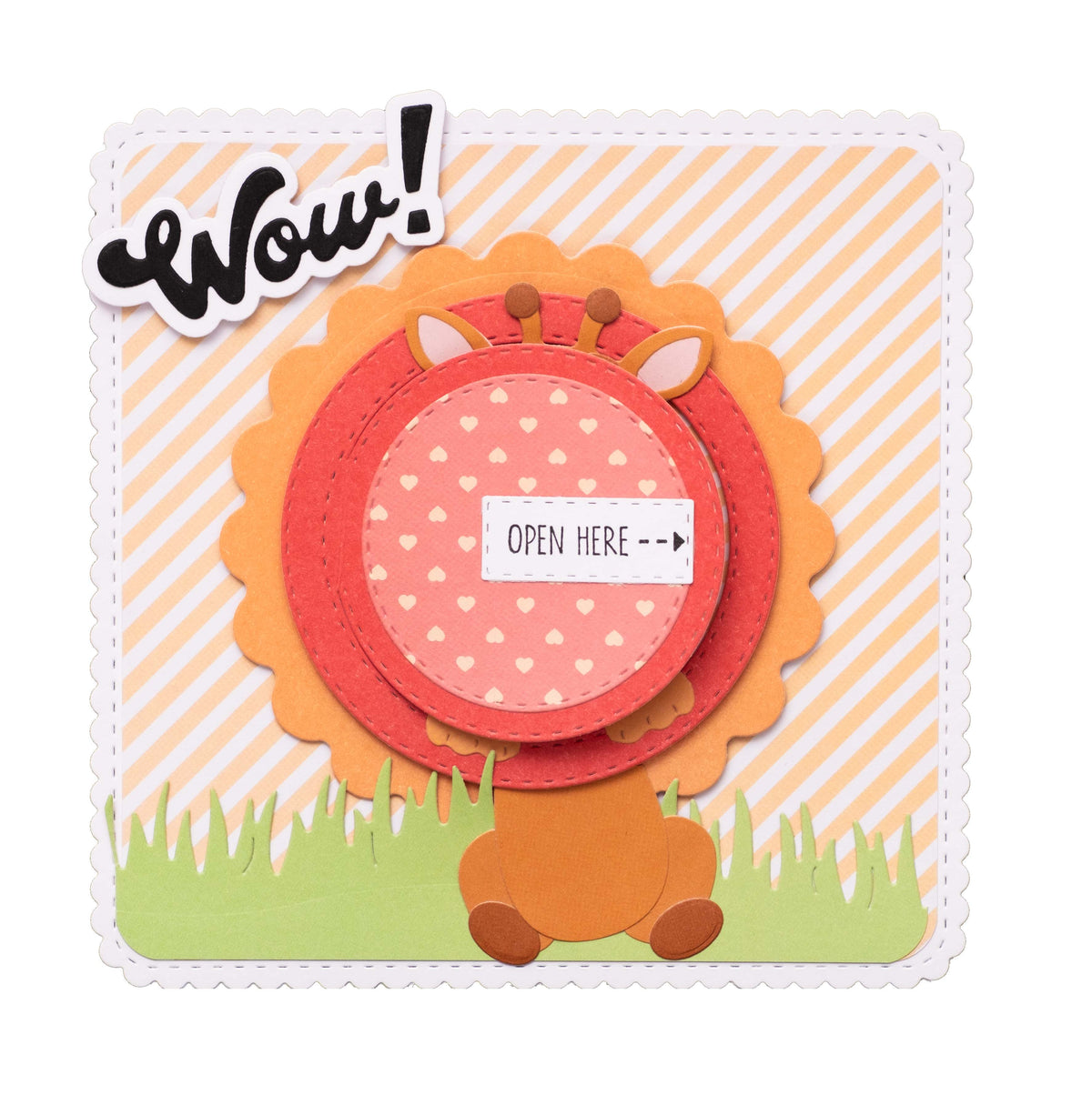 CCL Cutting Die Peekaboo Circle Essentials 3 Pieces-3