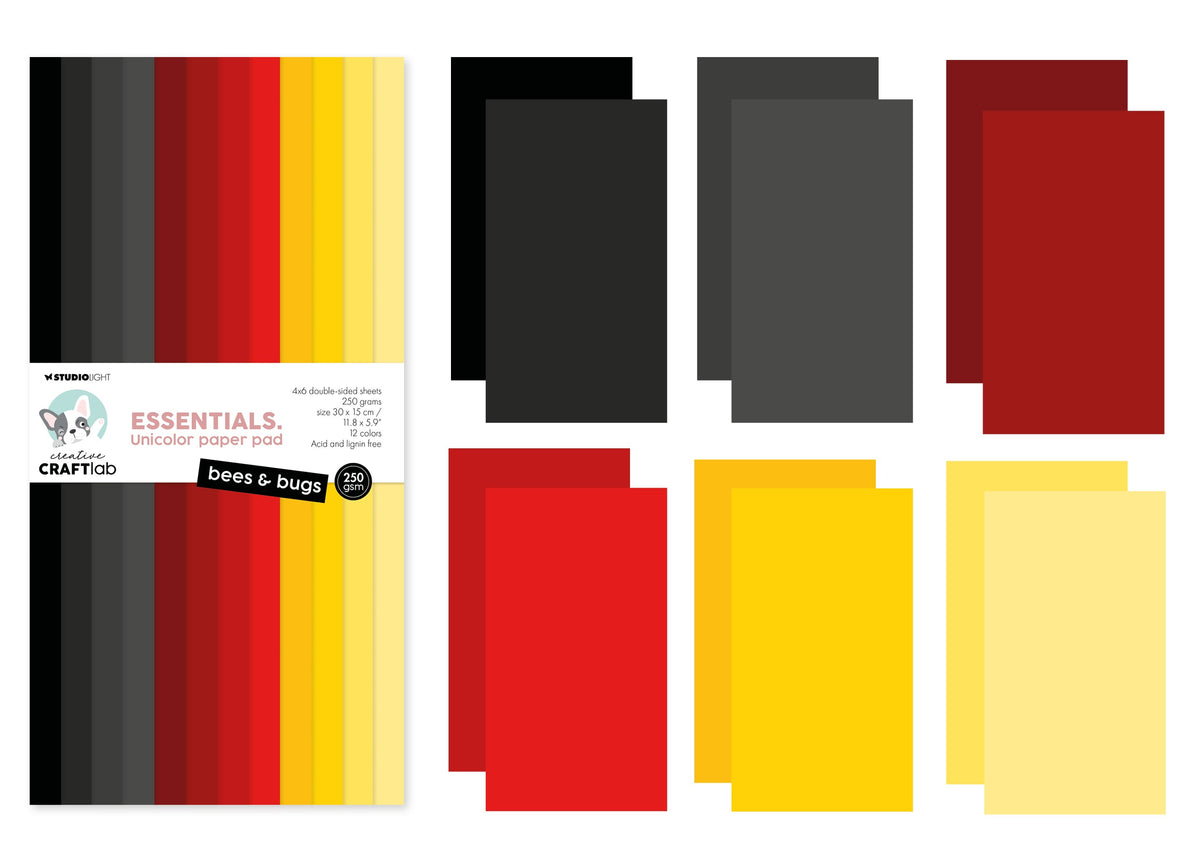 CCL Unicolor Paper Pad Bees & Bugs Essentials 24 Sheets-2