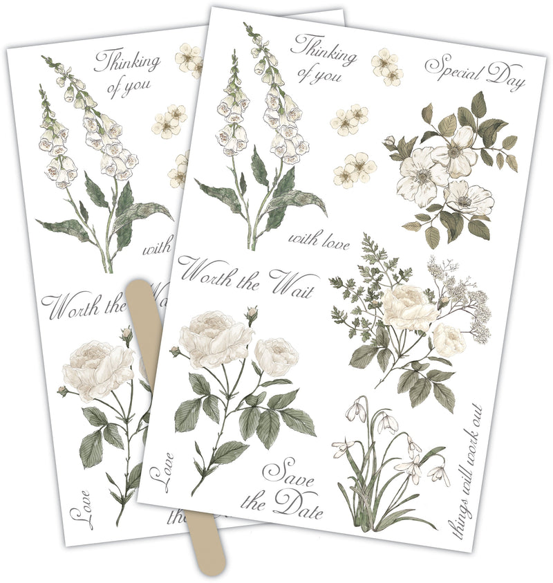 Craft Consortium Belle Fleur - Rub On Transfers-2