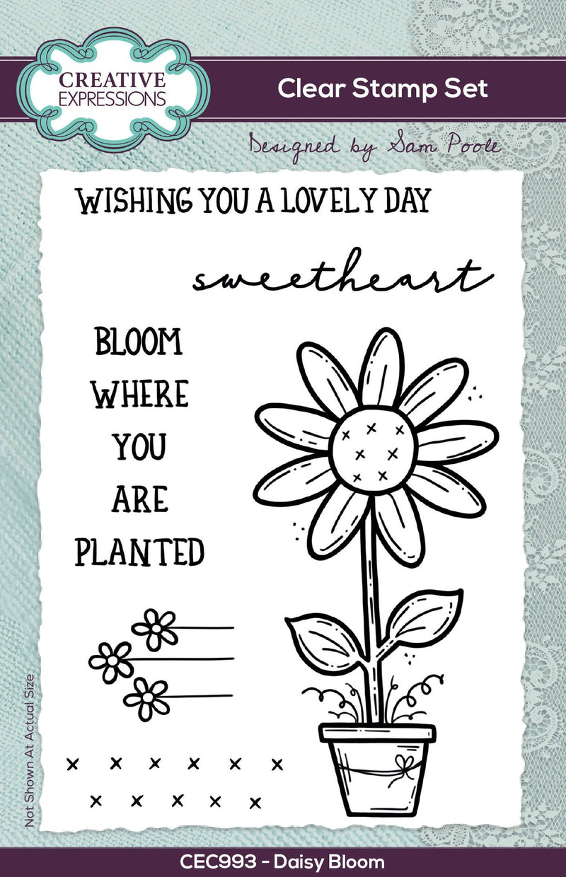 Creative Expressions Sam Poole Daisy Bloom 6 in x 4 in Clear Stamp Set-1