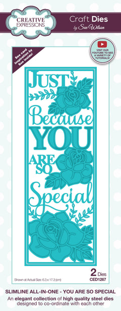 Creative Expressions Sue Wilson Slimline You Are So Special Craft Die-1