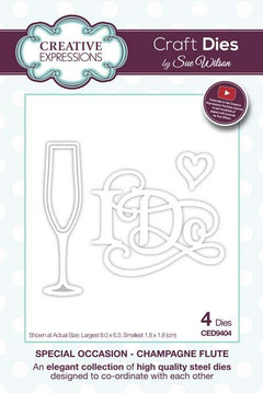 Special Occasion Collection Champagne Flute-2