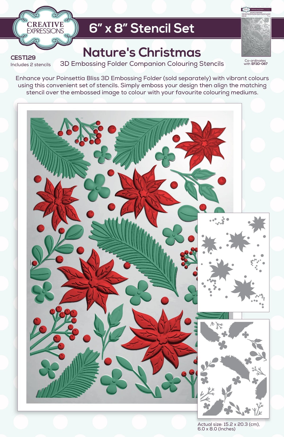 Pochoir de coloriage Creative Expressions Nature's Christmas Companion, lot de 2, 15,2 x 20,3 cm-1