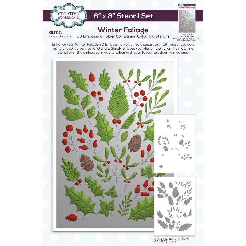 Juego de 2 plantillas para colorear Creative Expressions Winter Foliage Companion, 6 pulg. x 8 pulg.