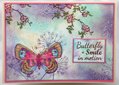 Frog's Whiskers Ink Stamp - Summer Delight-2