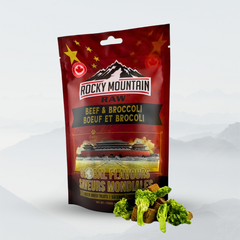 Global Flavours: Chinese Beef and Broccoli-1