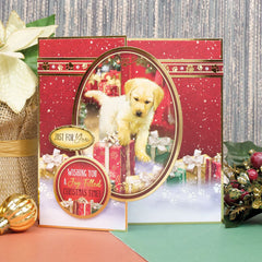 Santa Paws Luxury Topper Set-5