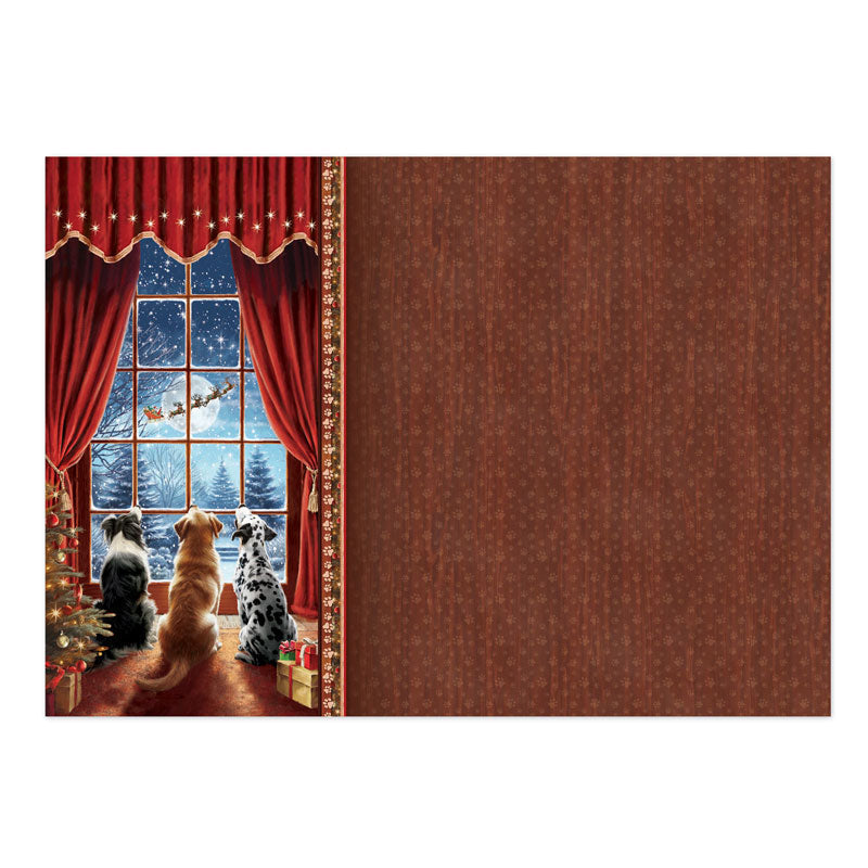 Joyeux Noël canin – Kit de décoration de luxe-4