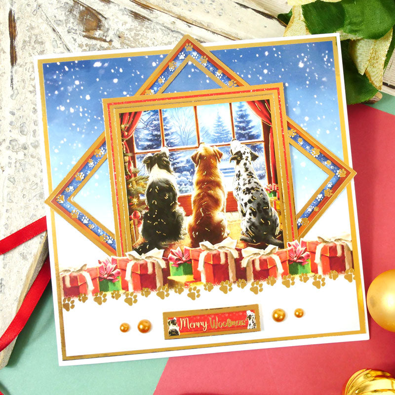 Joyeux Noël canin – Kit de décoration de luxe-5