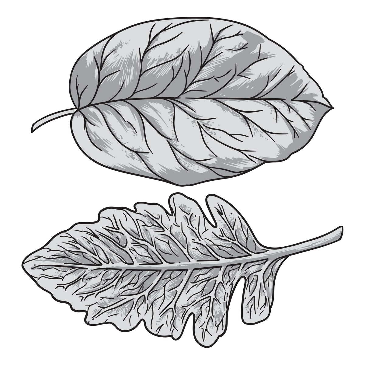 Couture Creations - Elegance Collection - Layering Stamp And Die Set - Wide Leaves Mini (6pc)-2