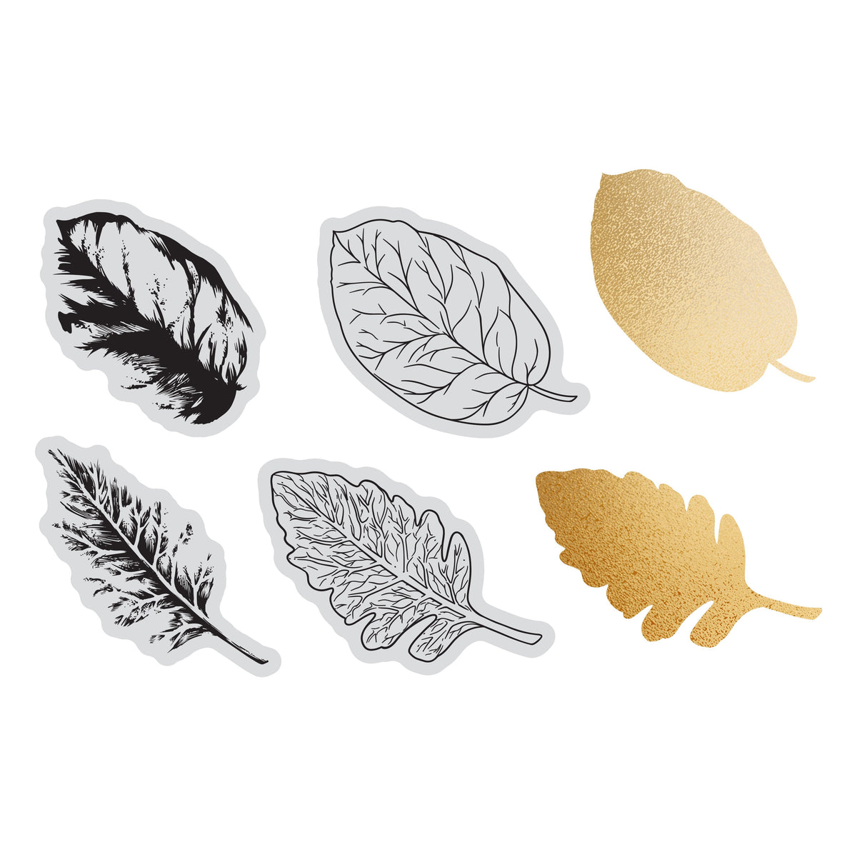 Couture Creations - Elegance Collection - Layering Stamp And Die Set - Wide Leaves Mini (6pc)-1