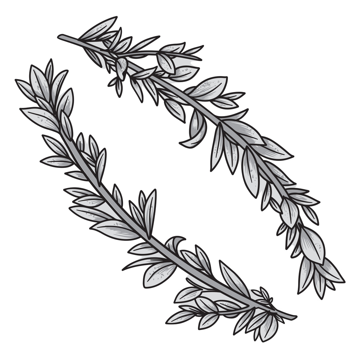 Couture Creations - Elegance Collection - Layering Stamp And Die Set - Curving Branches Mini (6pc)-2
