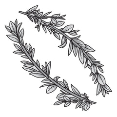Couture Creations - Elegance Collection - Layering Stamp And Die Set - Curving Branches Mini (6pc)-2