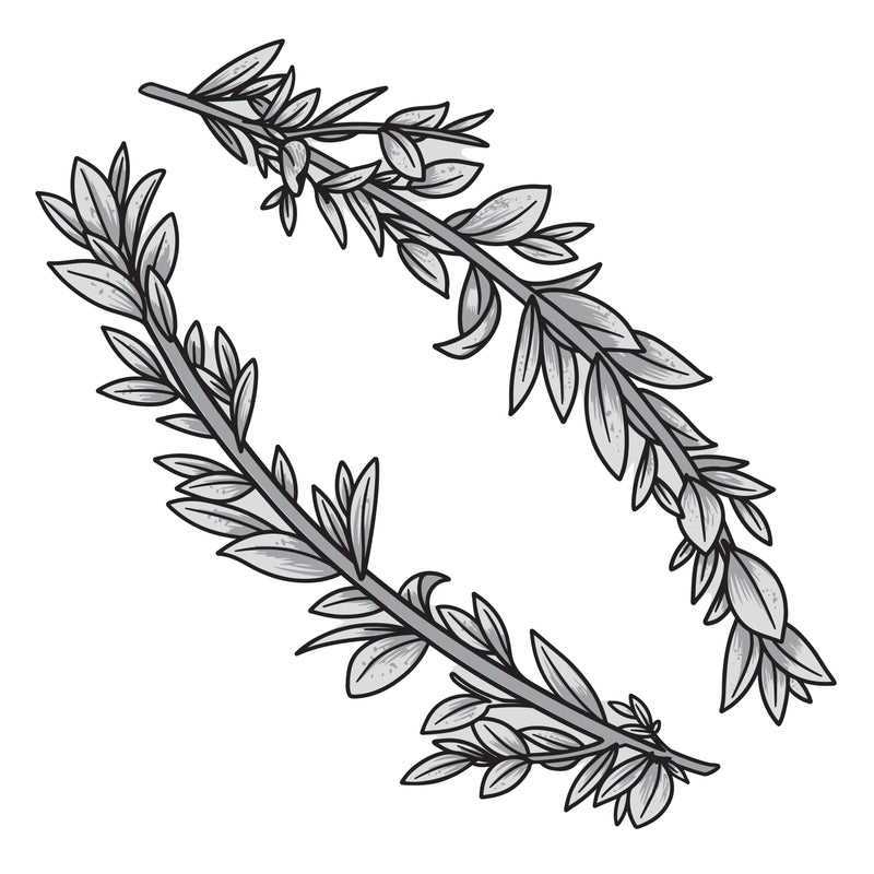 Couture Creations - Elegance Collection - Layering Stamp And Die Set - Curving Branches Mini (6pc)-2
