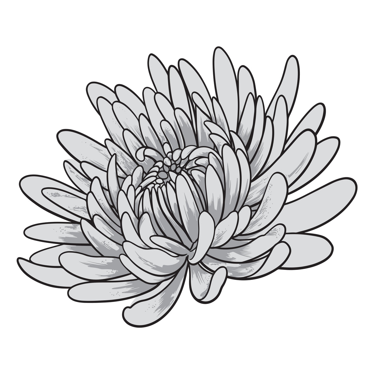 Couture Creations - Elegance Collection - Layering Stamp And Die Set - Aster Mini (4pc)-2