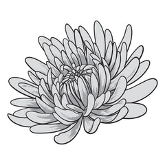 Couture Creations - Elegance Collection - Layering Stamp And Die Set - Aster Mini (4pc)-2