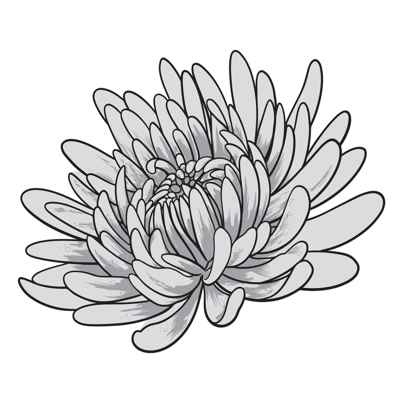 Couture Creations - Elegance Collection - Layering Stamp And Die Set - Aster Mini (4pc)-2