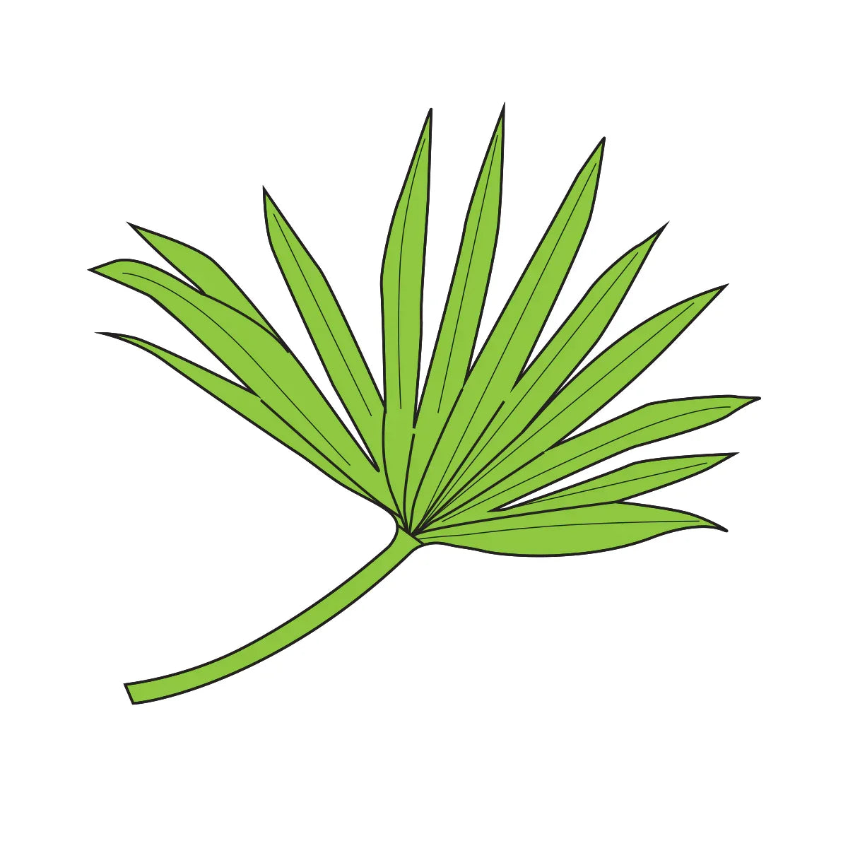 Couture Creations - Sello y troqueles de hoja de palma-2
