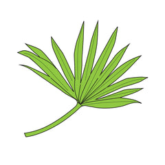 Couture Creations - Sello y troqueles de hoja de palma-2