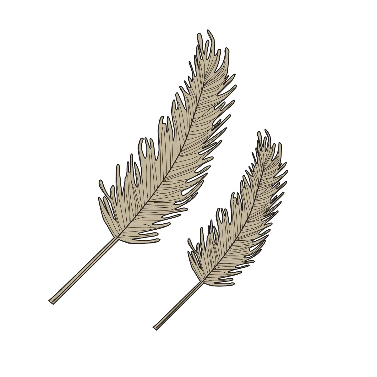 Couture Creations - Feather Stamp And Dies-2