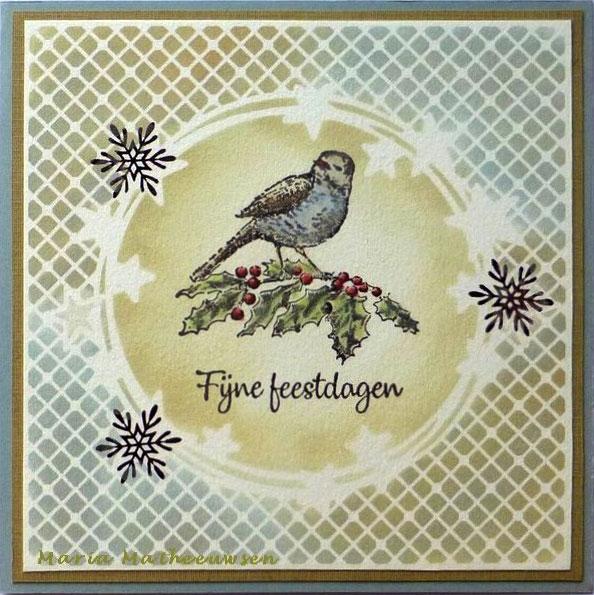Stencil A6 For Magnetic Colour Set Christmas Time Stars in Strangled Circles-4