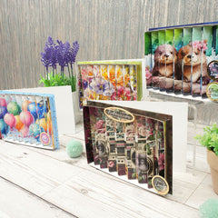 Double Aspect Concept Card Kit-6