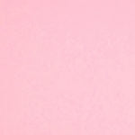 Colorplan 12X12 Cardstock 100#CV - 10 Sheets-5