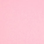 Colorplan 8.5X11 Cardstock 100#CV - 10 Sheets-5