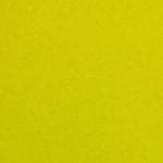 Colorplan 12X12 Cardstock 100#CV - 10 Sheets-10