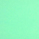 Colorplan 12X12 Cardstock 100#CV - 10 Sheets-12