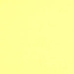 Colorplan 12X12 Cardstock 100#CV - 10 Sheets-7