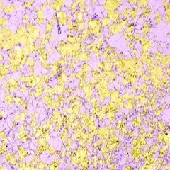 Cosmic Shimmer Aurora Flakes 50ml-14