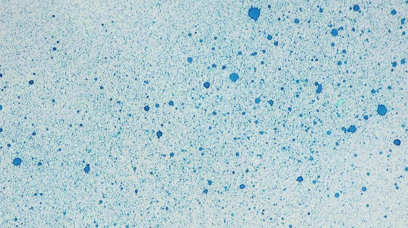 Cosmic Shimmer Airless Mister-24