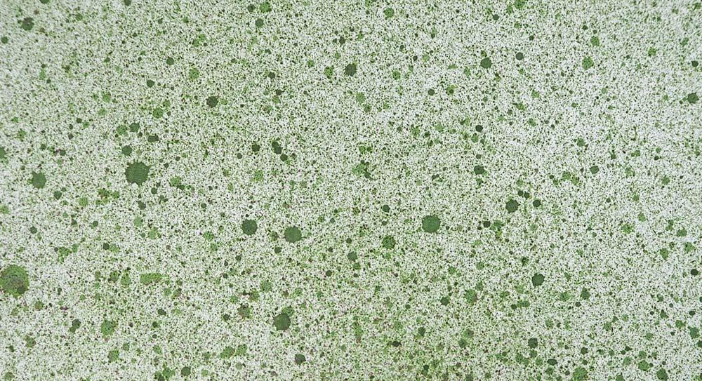 Cosmic Shimmer Airless Mister-25