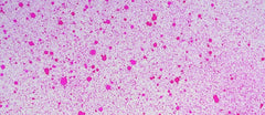 Cosmic Shimmer Airless Mister-29