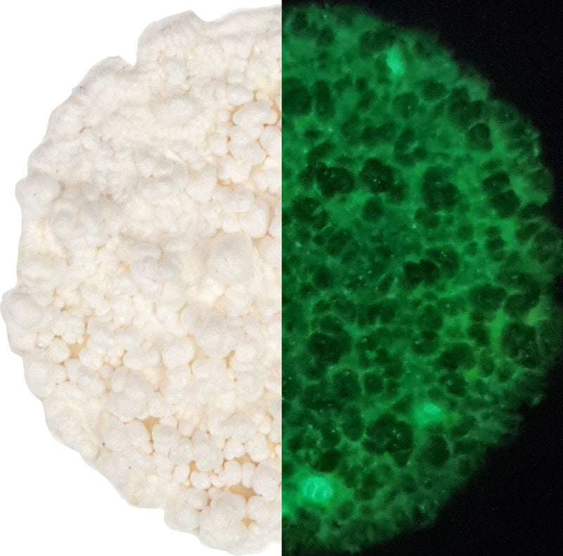 Cosmic Shimmer Fluffy Stuff Phosphorescent 30 ml-3