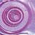 Cosmic Shimmer Ultra Thick Embossing Powder-4