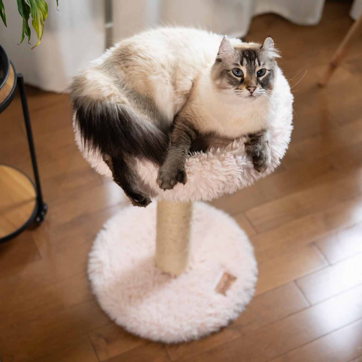 The Blush Perch – 1-Level Cat Tree-2
