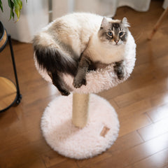 The Blush Perch – 1-Level Cat Tree-2