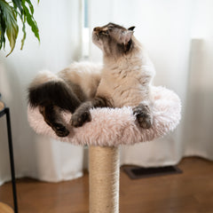 The Blush Perch – 1-Level Cat Tree-4