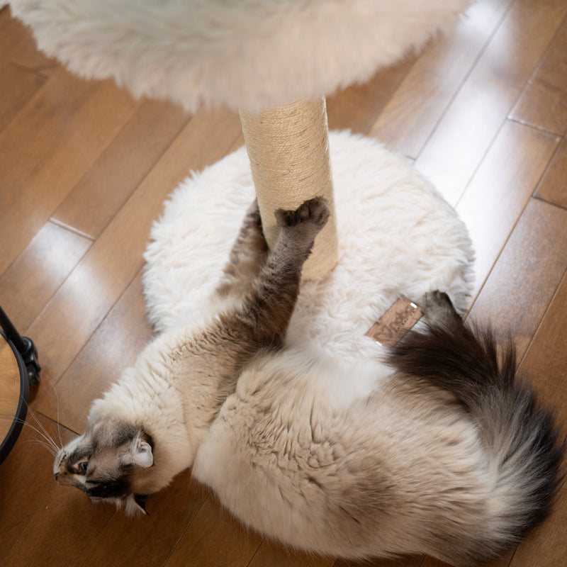 The Blush Perch – 1-Level Cat Tree-8