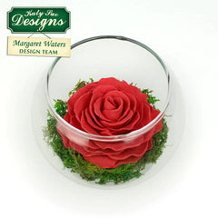 Emporte-pièces Rose cinq pétales Flower Pro - Lot de 3-2
