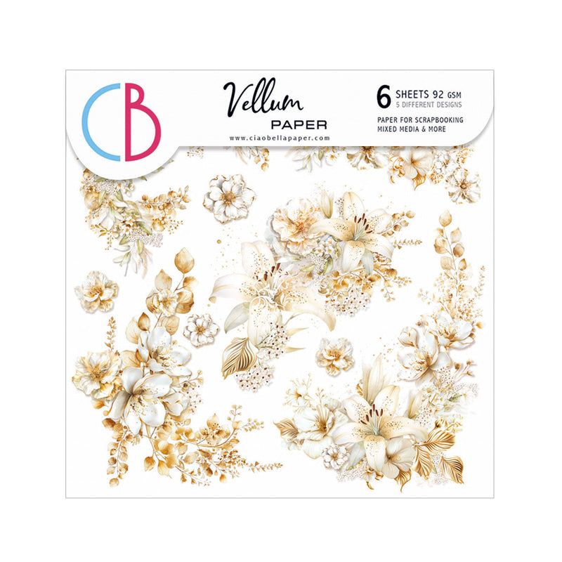 Vellum Blessing Day Fussy Cut 6"x6" 6/Pkg-1