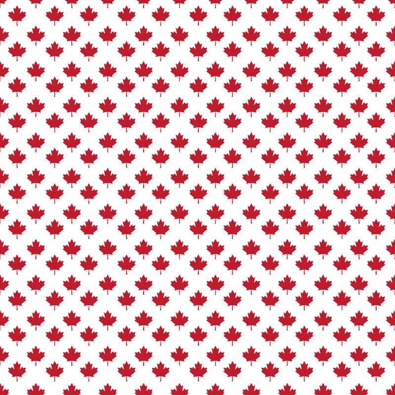 Craft HTV Canada Day Pattern #2 Maple leaf in White Background-1
