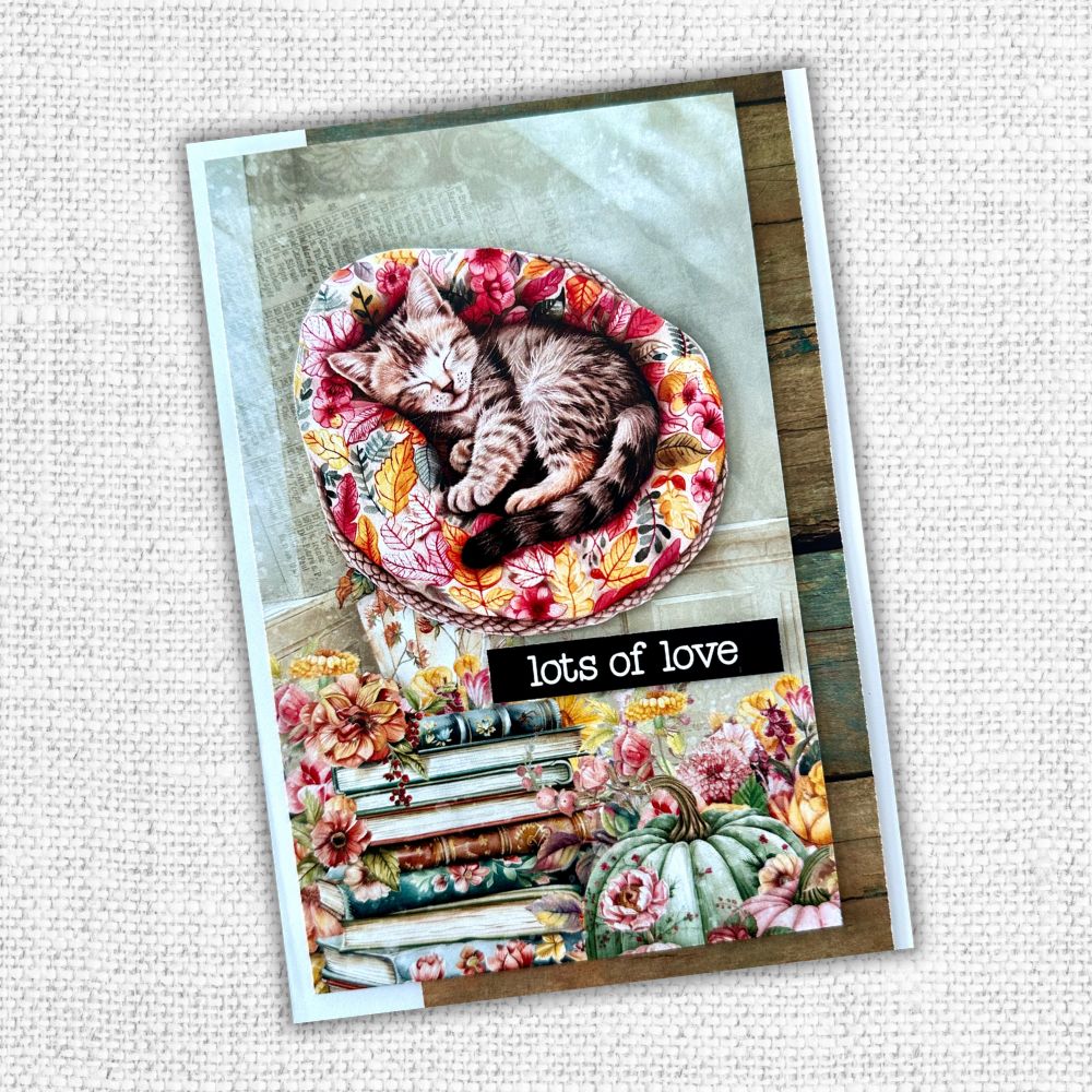 Cozy Fall Cut Aparts Paper Pack 32676-7