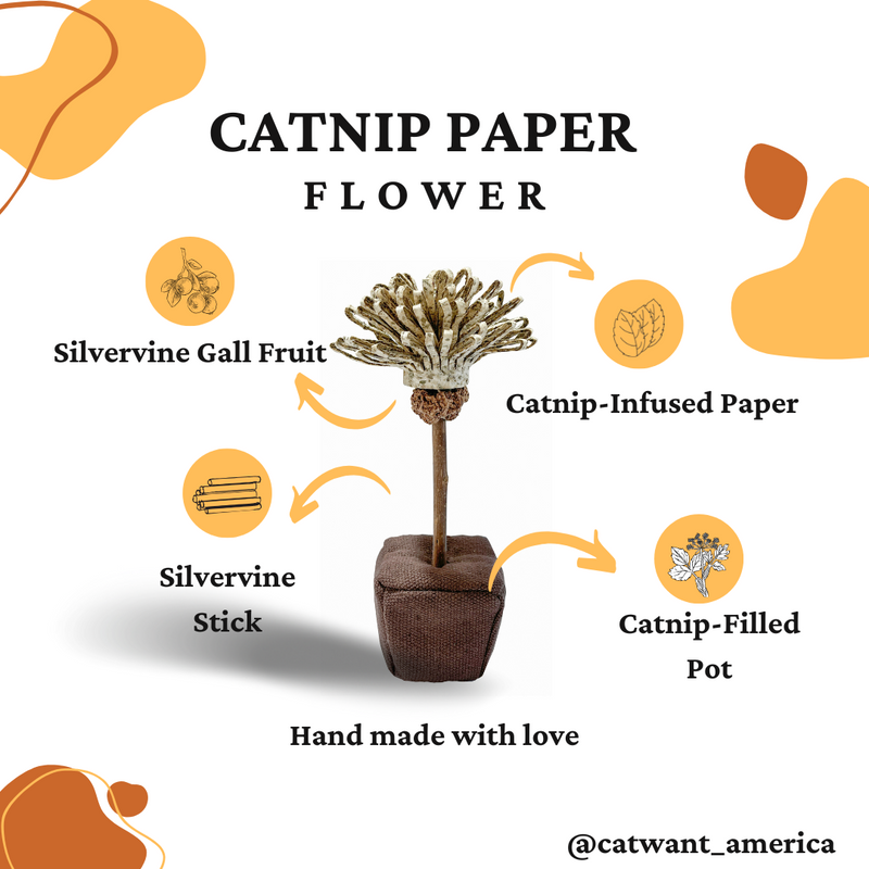 Catnip Paper Flower-13