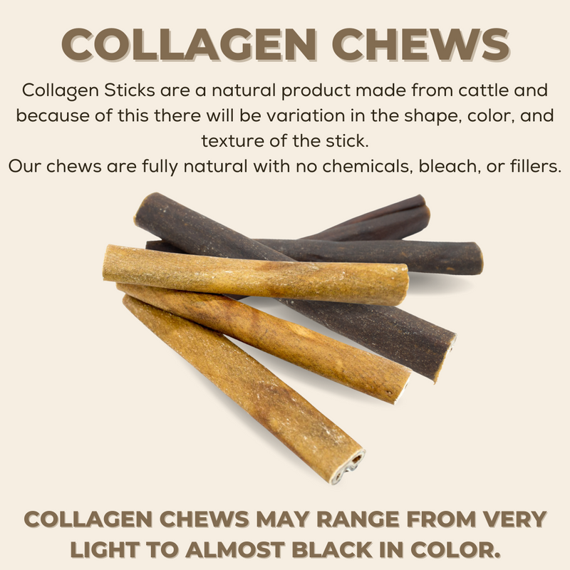 10-12 Inch Collagen Stick-9
