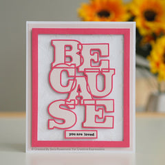 Sue Wilson Big Bold Words Because Craft Die & Stamp Set-4